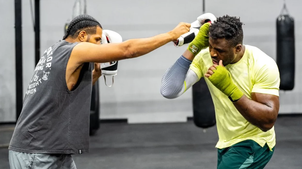 Cours boxe Paris - John Mbumba Coach de Francis Ngannou